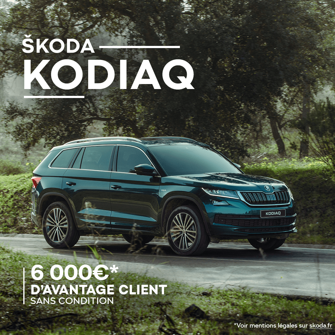 skoda_kodiaq_suv_2